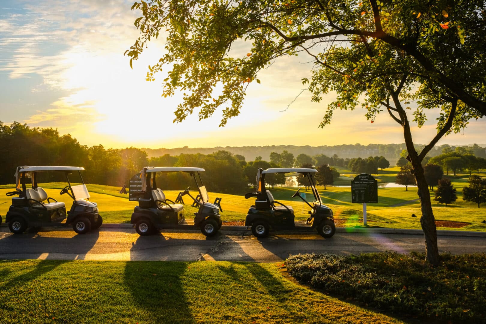 Golf carts lined up on a path offer a picturesque view of the golf resort at sunrise in Ypsilanti. Trees and a sign provide a perfect backdrop for this scenic course.